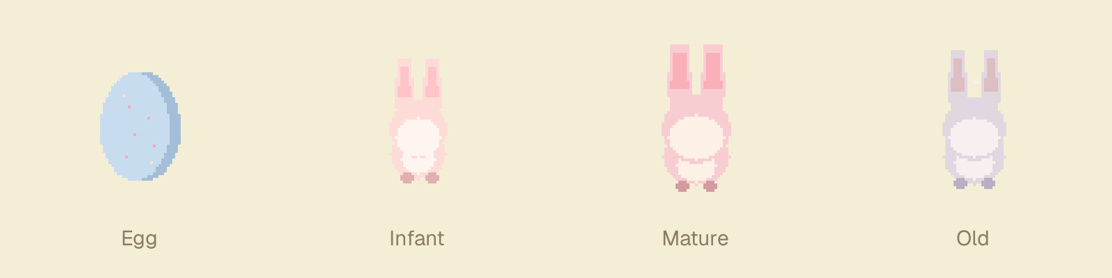 The four life stages: egg, infant, mature, old